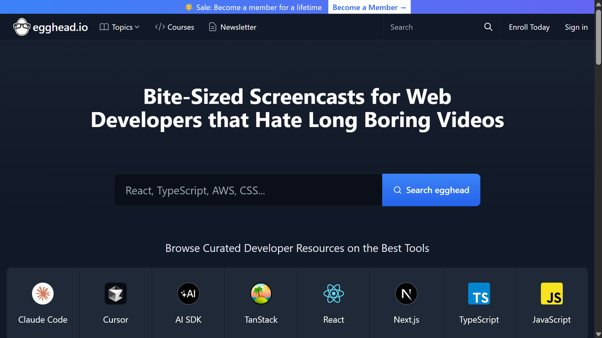 Egghead Expert Tech Courses